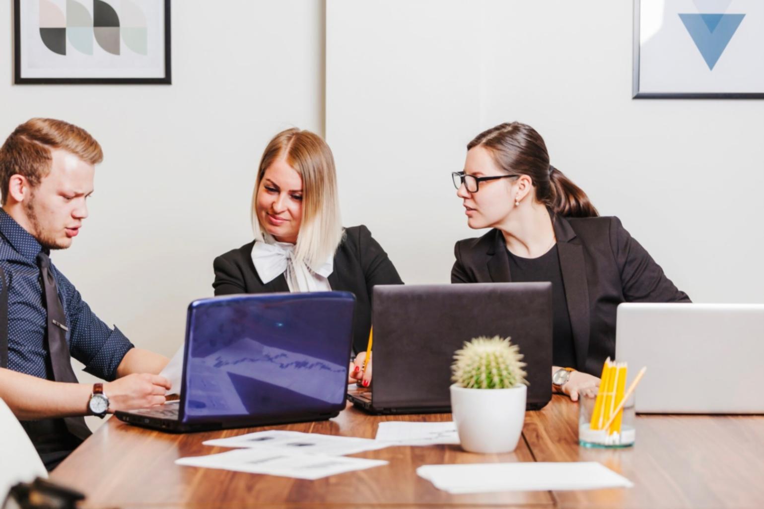 Professional business meeting discussing partnership strategies